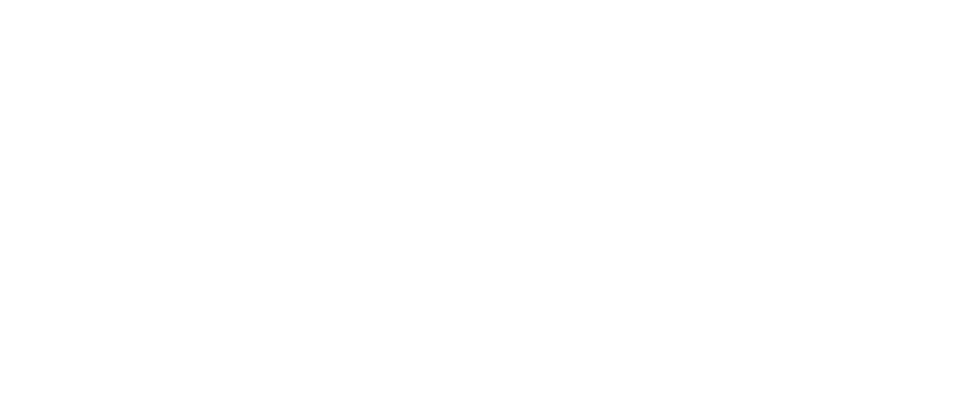 WMS Financeira